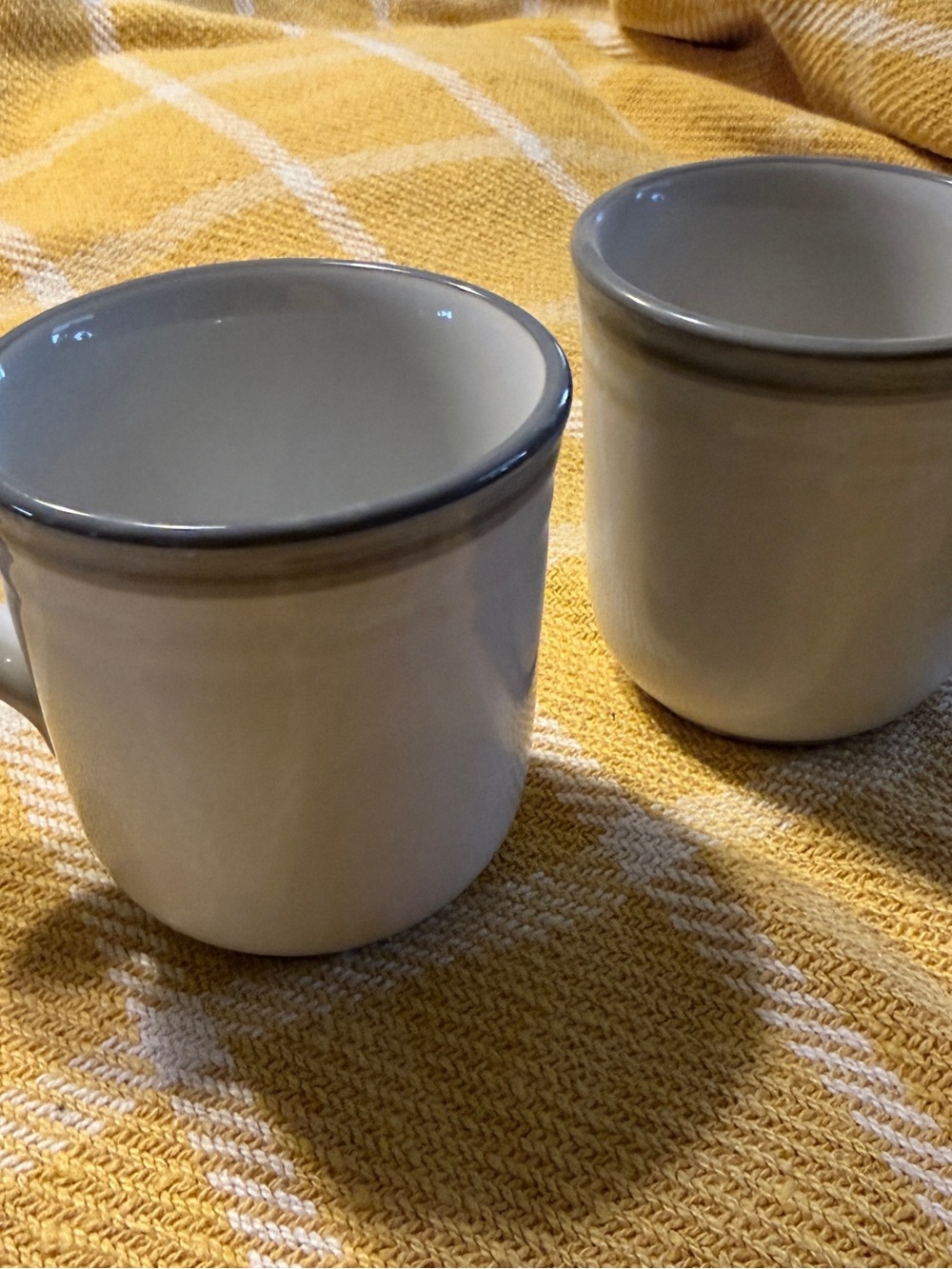 Noritake Sierra Twilight Stoneware Mugs with Gray Rim - Set of 2